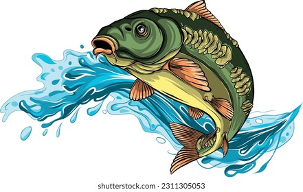 vector illustration of carp with splashing water