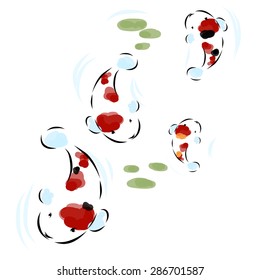vector illustration of carp-zen drawing style