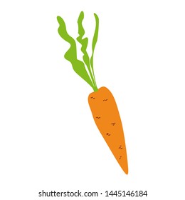 Vector illustration of carrot.  