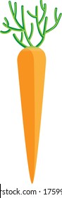 Vector illustration of a carrot. 