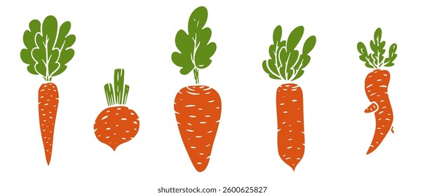 Vector illustration of carrot in cartoon flat style different shapes. Set of fresh vegetables plants for healthy food. Collection design elements for child textile print, stamp, kids education book.