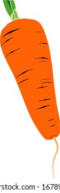 Vector illustration of carrot in cartoon simple flat style isolated on white background. Healthy food concept. 