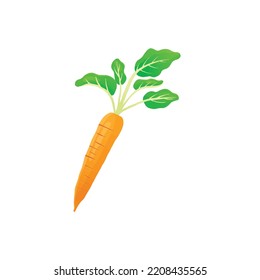 Vector Illustration Carrot Colorful Gradient Mascot