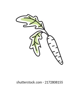 ilustración vectorial de la zanahoria en estilo doodle