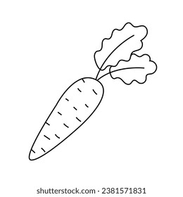 Vector illustration of a carrot in doodle style. Isolated on white background
