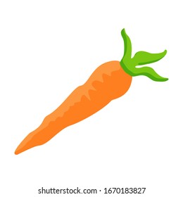 Vector illustration of carrot flat design isolated on a white background. For graphic designers.