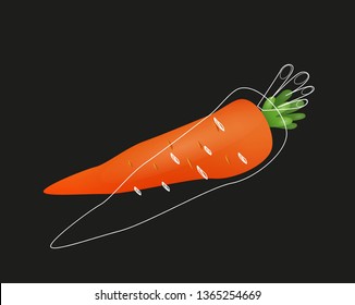 Vector illustration of a carrot fruit. Carrot vector icon. 