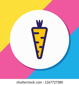 Vector illustration of carrot icon colored line. Beautiful eating element also can be used as veggie icon element.
