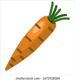 Vector illustration of carrot icon flat design. Illustration of a carrot, icon, isolated object on a white background. Vegetarianism, healthy food, organic vegetables . For books, magazines, and web