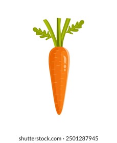 Vector illustration of carrot isolated