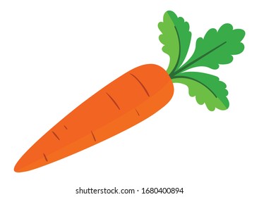 Vector Illustration of Carrot isolated on white background