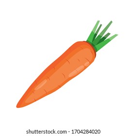 Vector illustration of carrot. Isolated on white background. Healthy food concept.  Healthy vegetables.