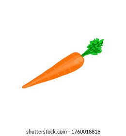 Vector illustration of carrot isolated on white background