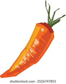 Vector illustration of the carrot isolated on white background