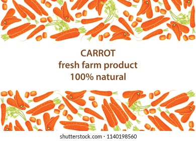 vector illustration of carrot and leaf design background white and vegetable and text fresh farm product 100% natural EPS10