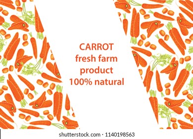 vector illustration of carrot and leaf design background white and vegetable and text fresh farm product 100% natural EPS10