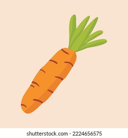 Vector illustration of carrot and leaf in green color, simple with flat design style. Suitable for icons, symbols, vegetable theme books and menu books.