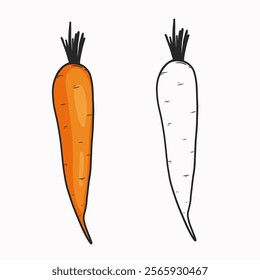 Vector illustration of carrot.  Line drawing and coloring. Vegetable. Flat illustration
