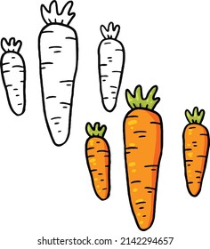 Vector illustration of a carrot. perfect for practice coloring, practice drawing, prints, wallpapers, packaging paper designs, textiles, ect.