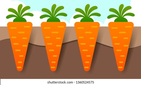 Vector illustration of Carrot plant with roots underground vector illustration