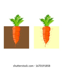 Vector illustration of carrot with roots in the soil. Logo concept.