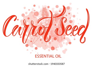 Vector Illustration Of Carrot Seed Essential Oil Text For Logotype, Packaging, Banner, Label, Poster, Decoration, Postcard. Carrot Seed Essential Oil Calligraphy Background. EPS 10.