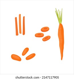 Vector illustration of carrot  with slices and baby-carrot isolated on white background. Vegetable, cut into strips.
Carrots set