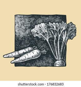 Vector  illustration of a carrot stylized as engraving.