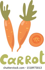 Vector illustration of carrot with tops. Sliced carrots. Pieces of carrots. Doodle style