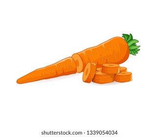 Vector illustration of Carrot with vegetable slices