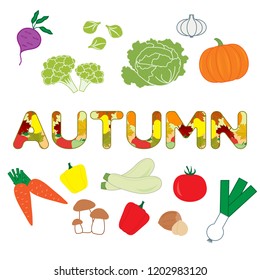 Vector illustration with carrot, zucchini, cabbage, pepper, pumpkin, onion, garlic, tomato, beetroot, brussels sprouts, cauliflower, mushrooms, nuts and autumn inscript