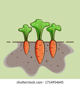  Ilustración vectorial. Las zanahorias crecen sobre el terreno