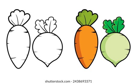 Vector Illustration of carrots and radishes with lines and colors, for children's coloring book