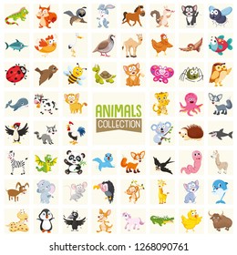 Vector Illustration Of Cartoon Animals Collection