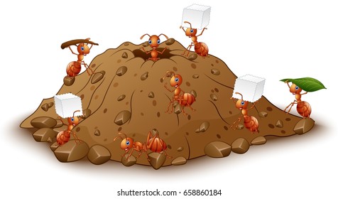 Vector illustration of Cartoon ants colony with anthill