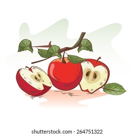 Vector illustration of cartoon apple branch