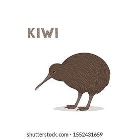 Vector illustration, a cartoon Australian kiwi, isolated on a white background. Animal alphabet.