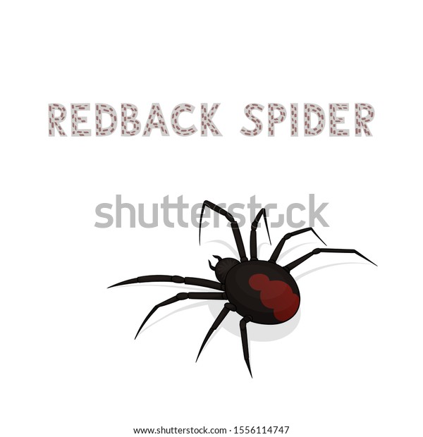 Vector Illustration Cartoon Australian Redback Spider: เวกเตอร์สต็อก ...
