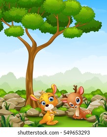 Vector illustration of Cartoon baby kangaroo with baby deer in the jungle