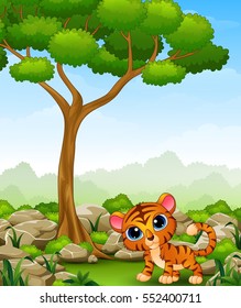 Vector illustration of Cartoon baby tiger in the jungle