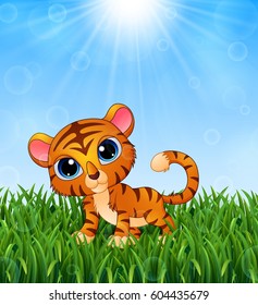 Vector illustration of Cartoon baby tiger in the grass on a background of bright sunshine