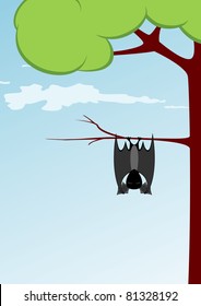 Vector illustration of cartoon bat is sleeping head first