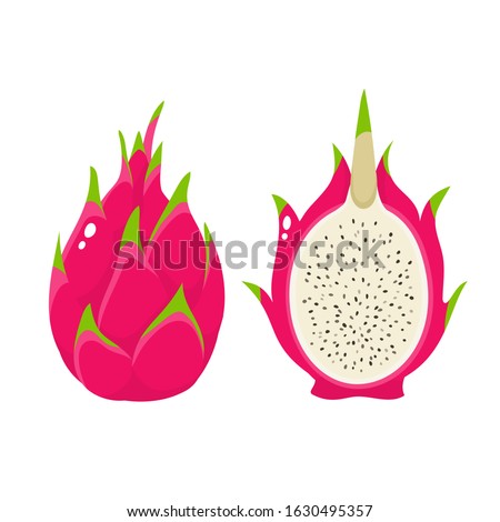 Vector illustration of cartoon bright whole and cut dragon fruits isolated on white. Exotic fruits used for magazine, poster, card, menu cover and web pages.