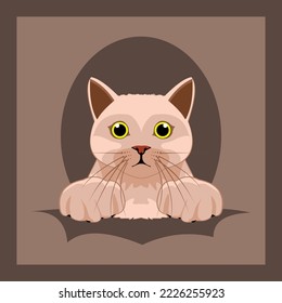 vector illustration of cartoon brown cat