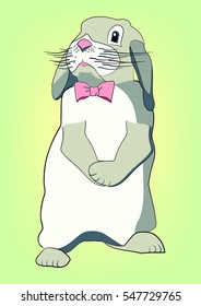 Vector Illustration. Cartoon Bunny