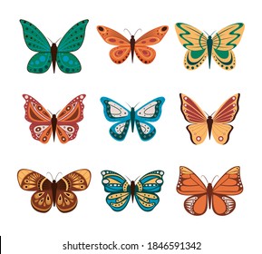 Vector illustration of cartoon butterflies isolated on white background. Abstract butterflies, colorful flying insect.