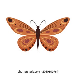 Vector illustration of cartoon butterflies isolated on white background. Abstract butterflies, colorful flying insect.