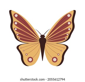 Vector illustration of cartoon butterflies isolated on white background. Abstract butterflies, colorful flying insect.