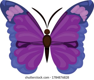 Vector illustration of a cartoon butterfly