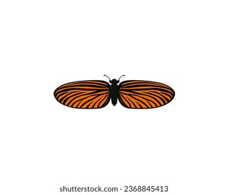 Vector illustration of cartoon butterfly on white background